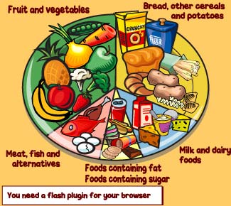 Healthy Eating Plate