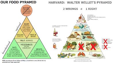 Healthy Eating Pyramid For Kids Uk