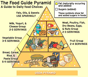 Healthy Eating Pyramid For Pregnant Women