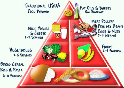 Healthy Food Pyramid Australia