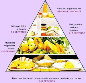 Healthy Food Pyramid Australia