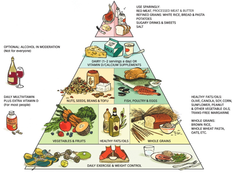 Healthy Food Pyramid Australia