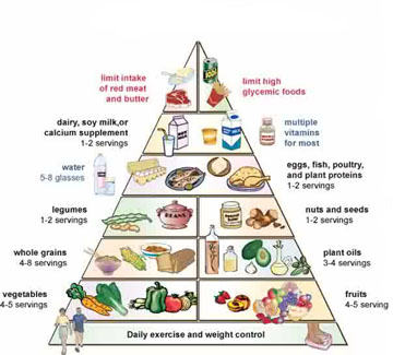 Healthy Food Pyramid Australia