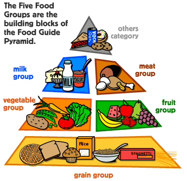 Healthy Food Pyramid Australia