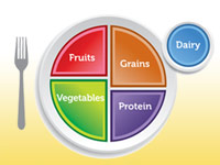 Healthy Living Food Plate