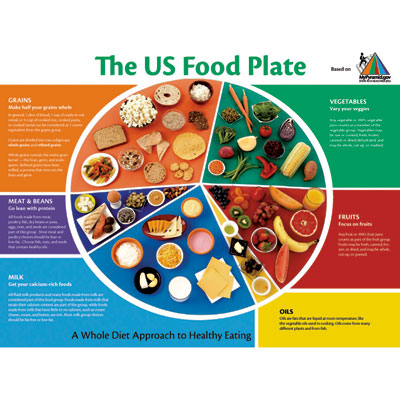 Healthy Living Food Plate