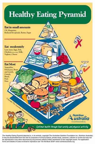 Healthy Living Food Pyramid