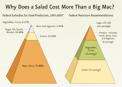 Healthy Living Pyramid Nutrition Australia