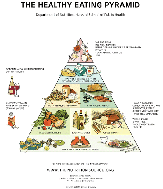 Healthy Living Pyramid Nutrition Australia