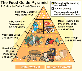 Healthy Living Pyramid Poster