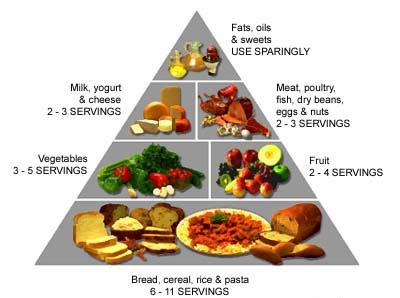 Healthy Living Pyramid Template