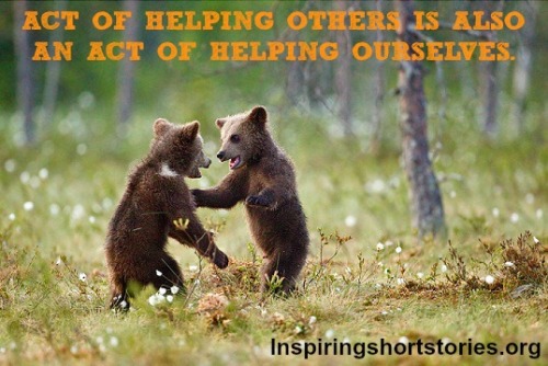 Helping Others Quotes Tumblr