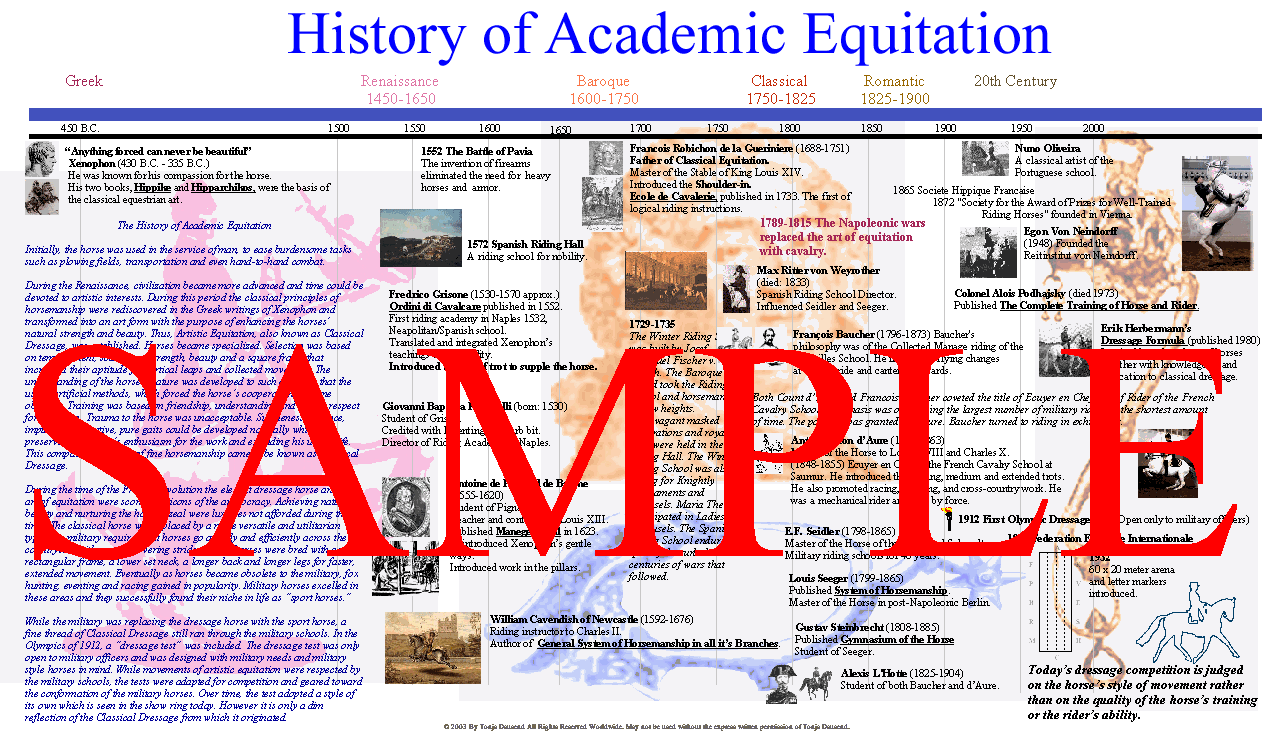 History Timeline Poster