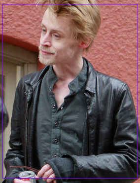 Home Alone 1 Actor