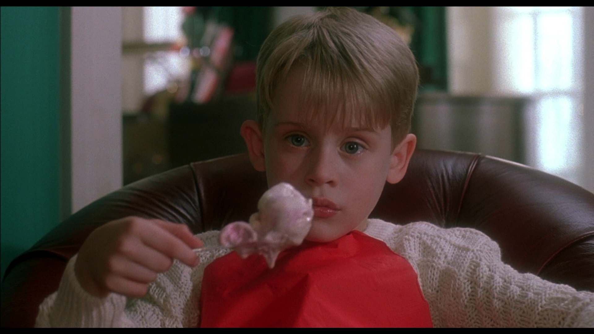 Home Alone 1 Kevin