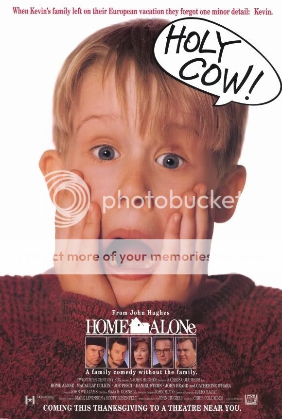 Home Alone 3 Movie Poster