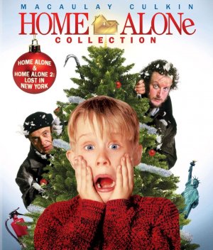 Home Alone 4 Movie Poster