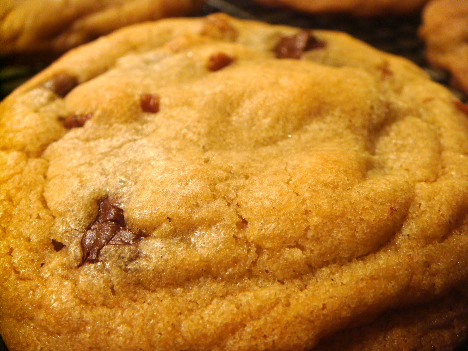 Homemade Chocolate Chip Cookies Recipe