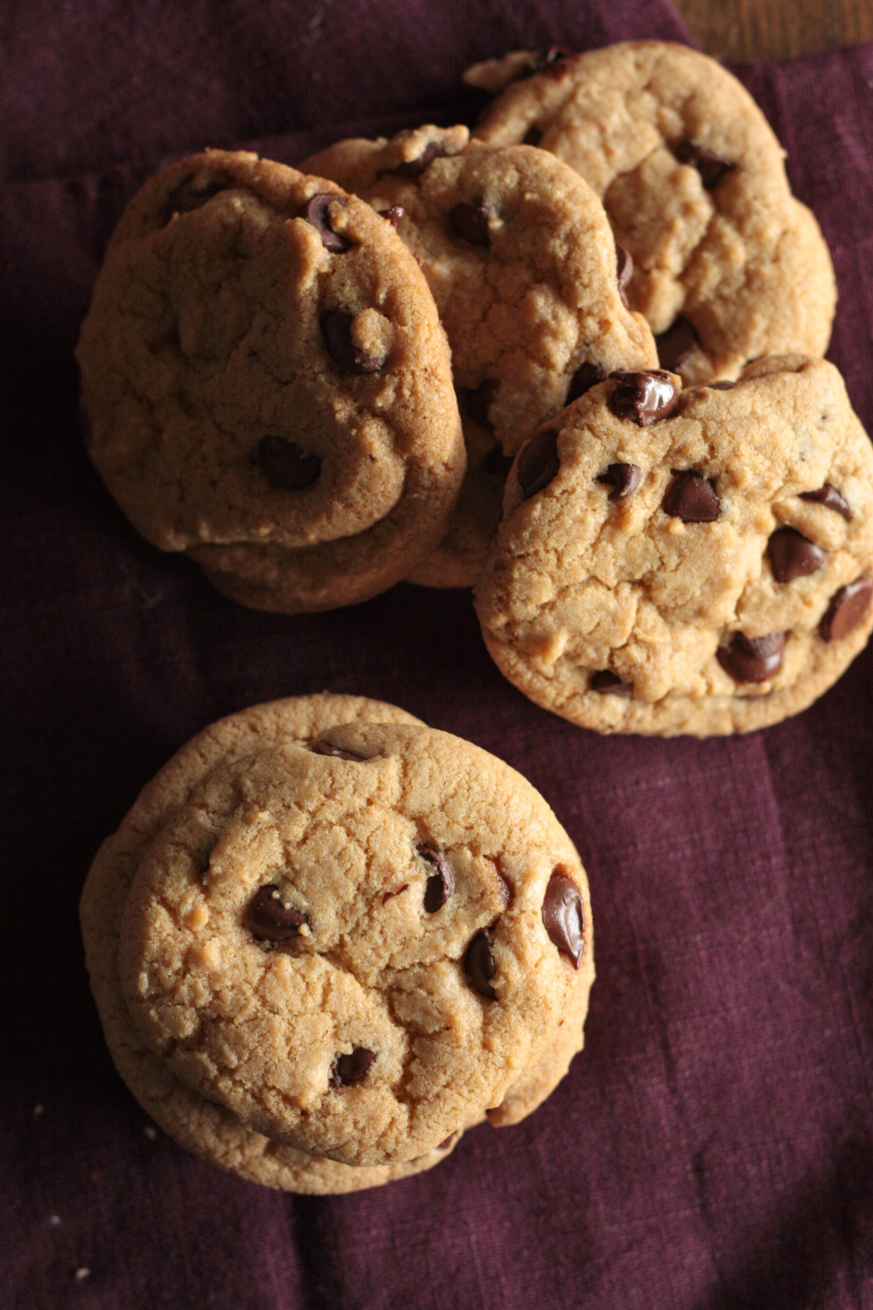 Homemade Chocolate Chip Cookies Recipe Without Butter