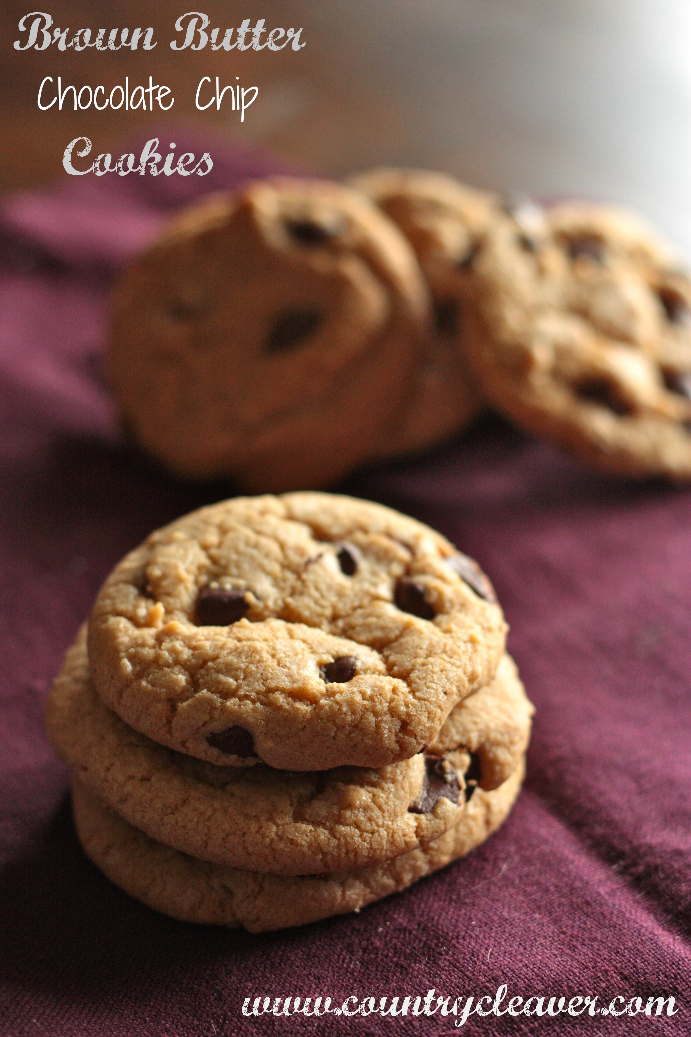 Homemade Chocolate Chip Cookies Recipe Without Butter