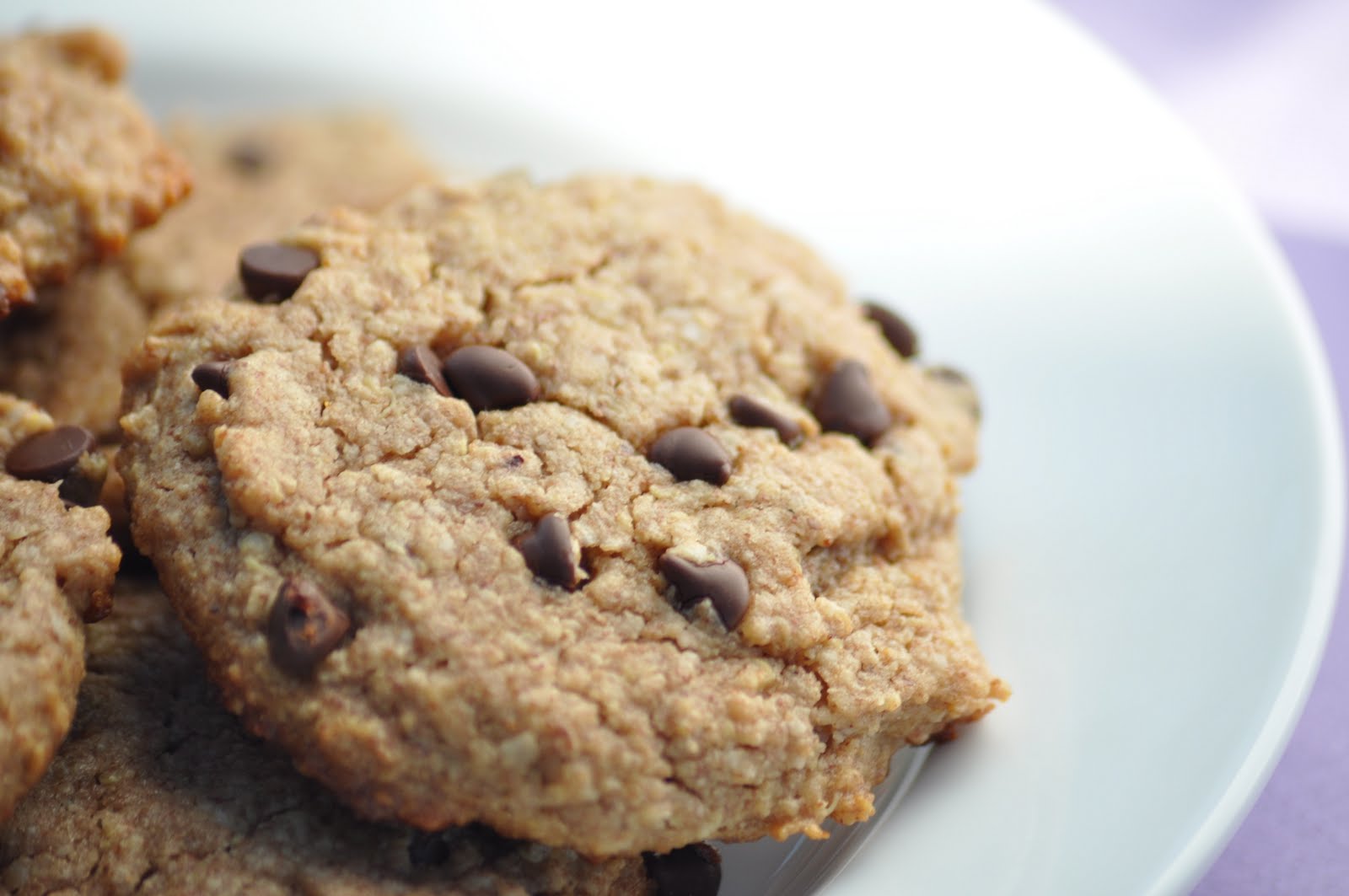 Homemade Chocolate Chip Cookies Recipe Without Butter