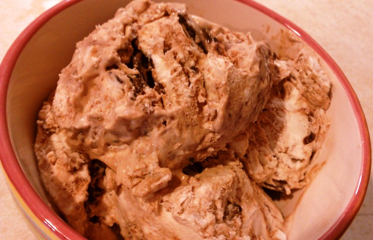 Homemade Chocolate Ice Cream Recipe Sweetened Condensed Milk