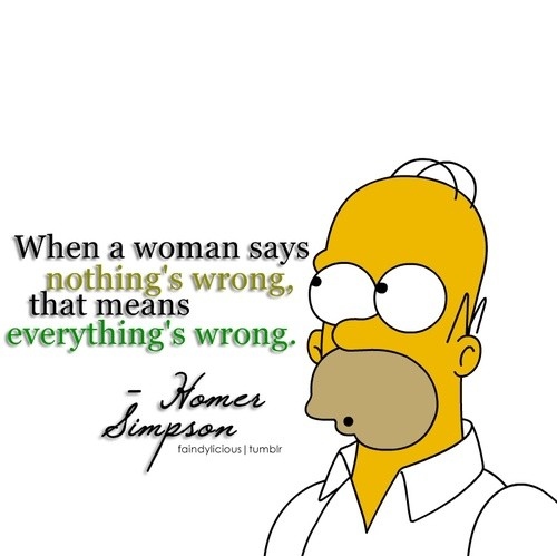 Homer Simpson Funny Quotes