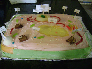 How To Make Plant Cell Model Project