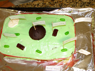 How To Make Plant Cell Model Project