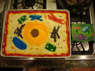 How To Make Plant Cell Model Project