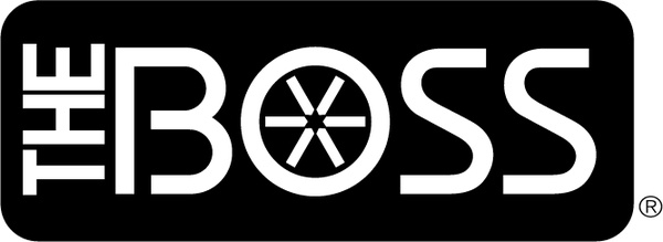 Hugo Boss Logo Font