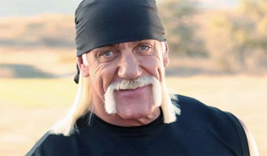 Hulk Hogan Tape Partner