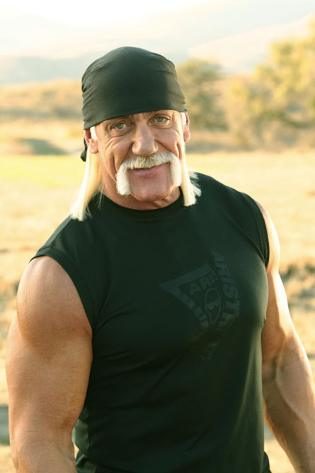 Hulk Hogan Tape Video Stream