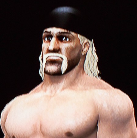 Hulk Hogan Wwe 13 Formula