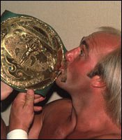 Hulk Hogan Wwe Champion