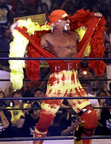 Hulk Hogan Wwe Champion