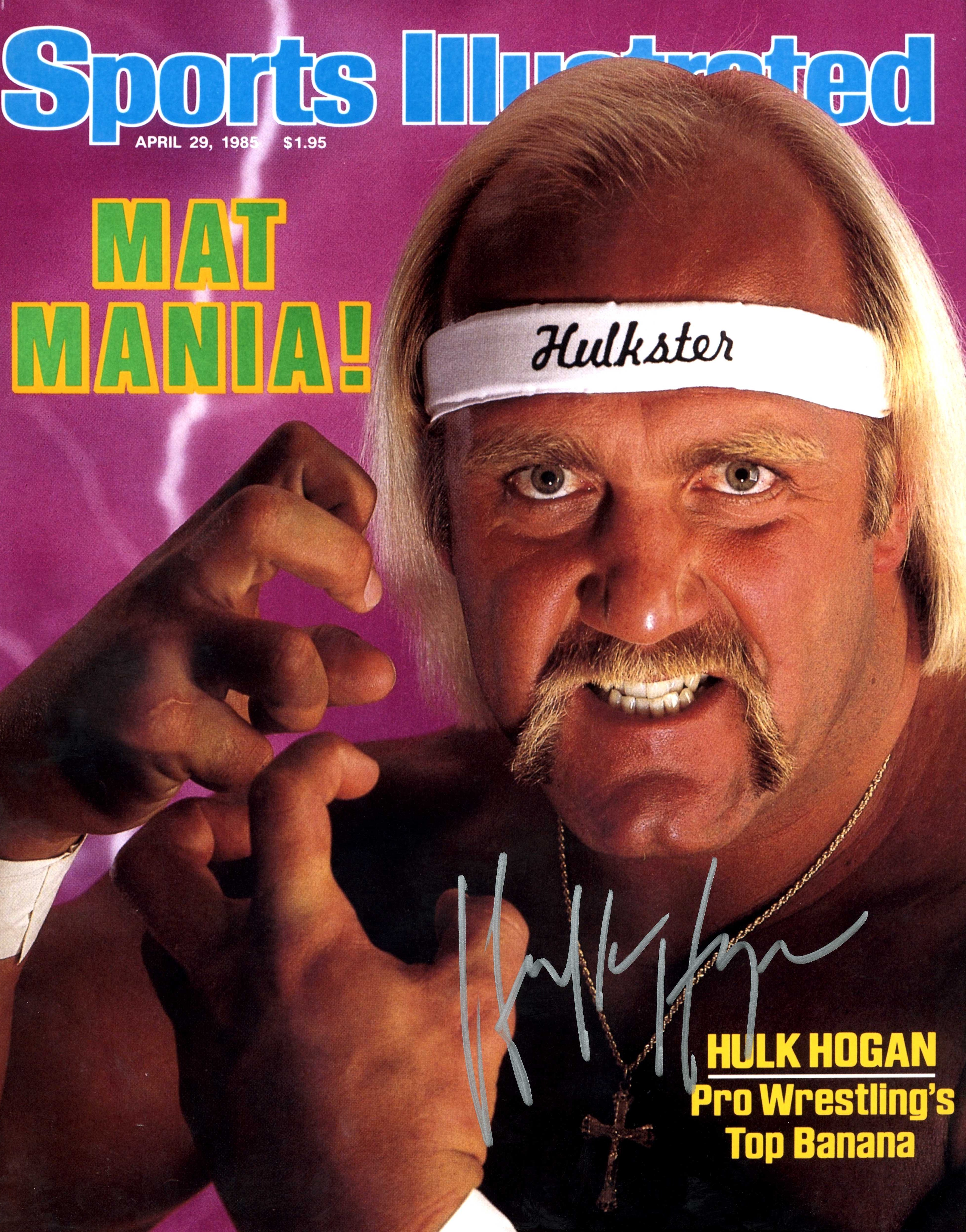 Hulk Hogan Wwe Hall Of Fame