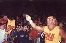 Hulk Hogan Wwe Return