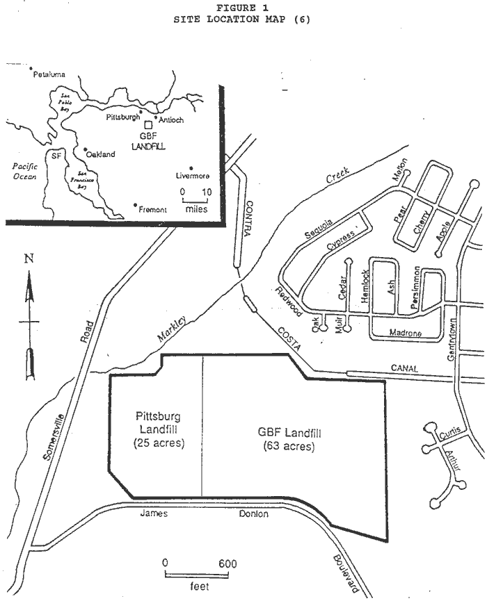 Human Appendix Location