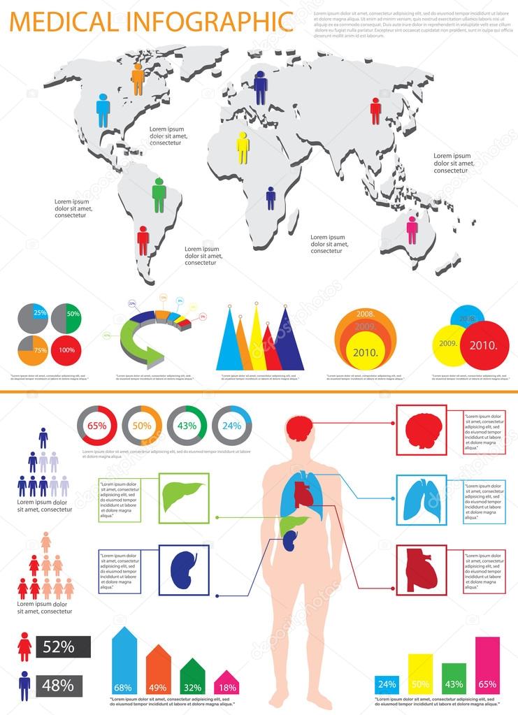 Human Body Organs Picture