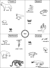 Human Food Chain Examples