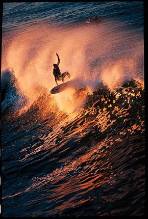 Huntington Beach California Surfers