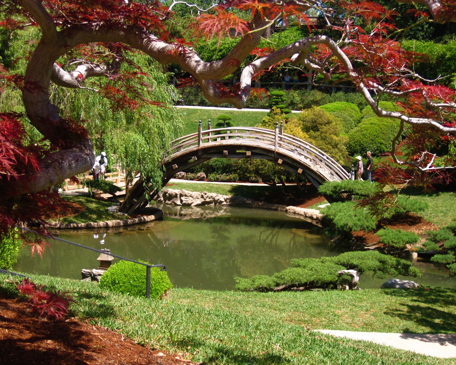 Huntington Library Japanese Garden