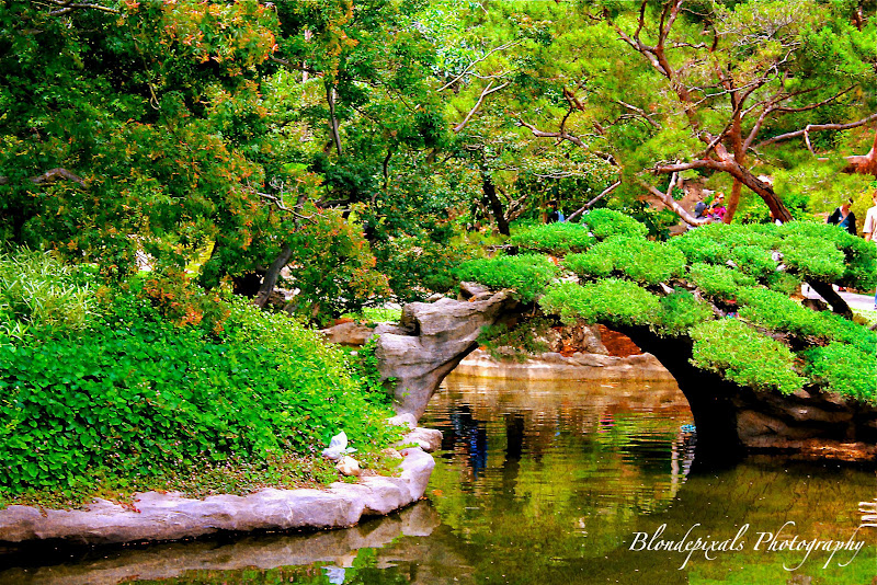 Huntington Library Japanese Garden