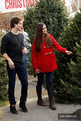 Ian And Nina Christmas Tree Shopping