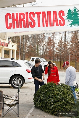 Ian And Nina Christmas Tree Shopping