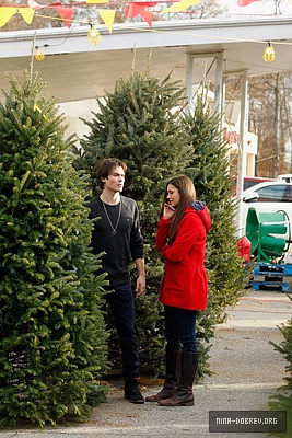 Ian And Nina Christmas Tree Shopping