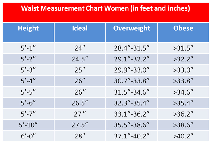 Ideal Body Fat Percentage