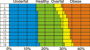 Ideal Body Fat Percentage