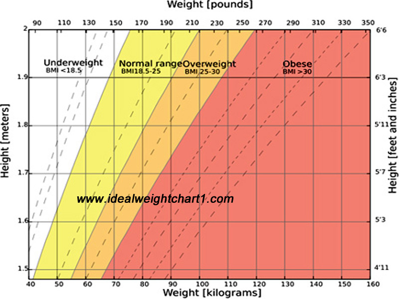 Ideal Body Weight Chart